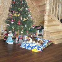 Фото к отзыву на компанию stvm_18