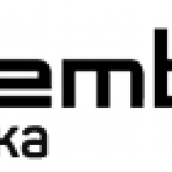 Логотип компании Сити Мастер\Gembo