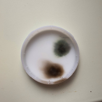 Фото к отзыву на компанию Новый отзыв