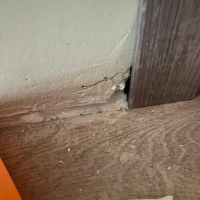 Фото к отзыву на компанию Новый отзыв